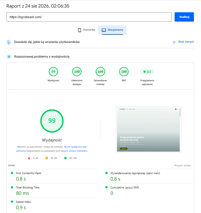 Wyniki PageSpeed Insights Egzobeast
